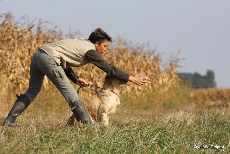 Field Erstein 09 (30).JPG